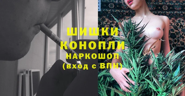 мет Каменка