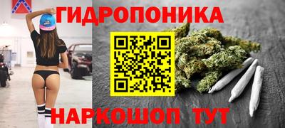 молекула духа Новоалтайск