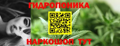 СК Нижний Тагил