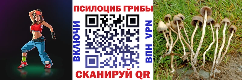 ссылка на мегу рабочий сайт  даркнет сайт  Заречный  Галлюциногенные грибы Cubensis 