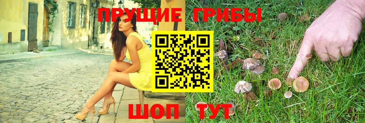 Галлюциногенные грибы ЛСД  Вход с VPN  Заречный 