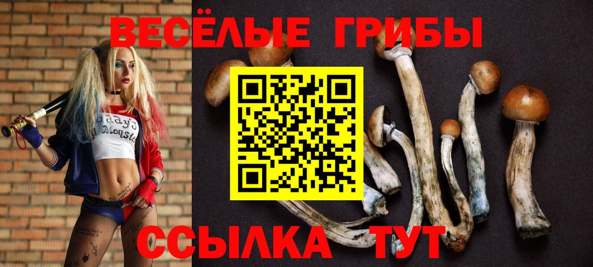 Псилоцибиновые грибы MAGIC MUSHROOMS Заречный
